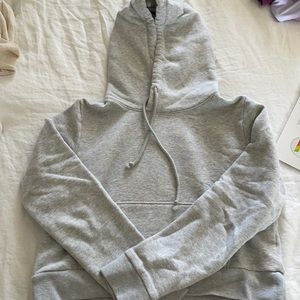 Aritzia sweatshirt